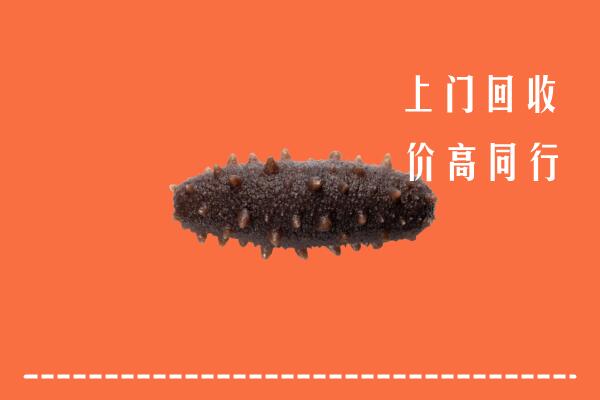 泉州回收海参
